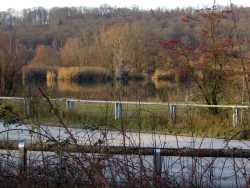 Vom Neckardammweg sieht man im Vordergrund auf die Autoteststrecke und im Hintergrund auf den kleinen Baggersee.