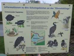 Infotafel über Vögel und Natur am Stausee