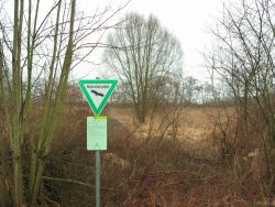 Das Schild Naturschutzgebiet weist auf die zu schützende Natur hin. Es steht am Straßendamm der alten B 36. Von dort hat man einen guten Blick über das Gebiet - auch im Regen.