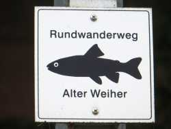 Wanderzeichen mit Fisch, der den Rundwanderweg Alter Weiher markiert