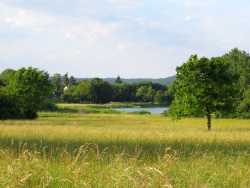 Blick auf den Starkholzbacher See und seine Naturzone. Im Hintergrund ist der Weiler Starkholzbach zu sehen. Im Vordergrund sind Wiesen.