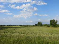 auf der anderen Seite des Starkholzbacher Sees sind Getreidefelder und Wiesen.