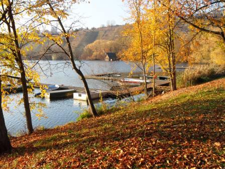 Herbststimmung am Max-Eyth-See. Blick auf den See mit Bootssteg. Das Laub ist teilweise schon von den Bäumen gefallen.