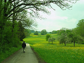 Foto: Spaziergang im Frühjahr